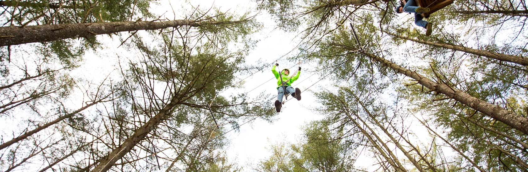 Lake Frances zipline pov from the ground to tree tops